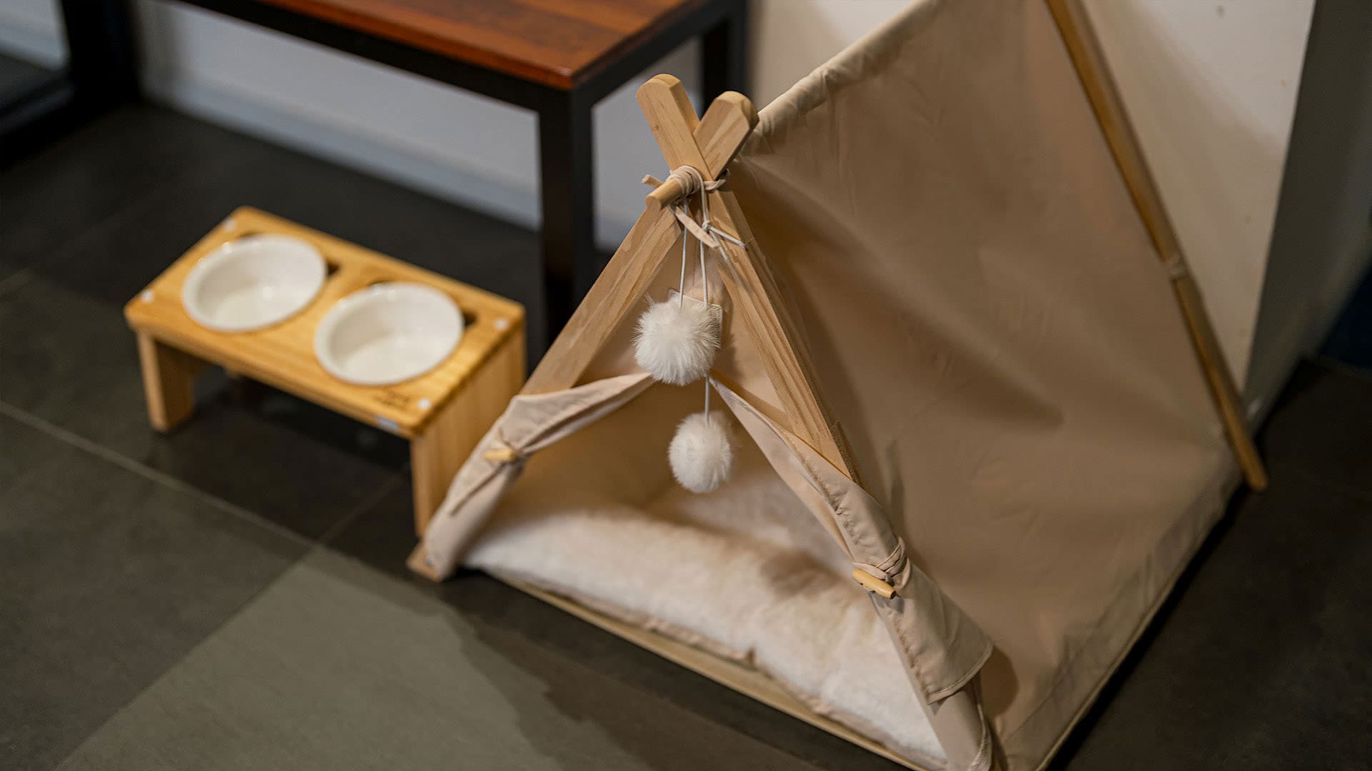 반려견 어메니티 용품