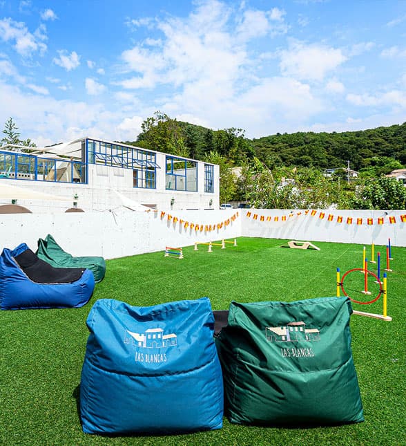 반려견 놀이터에서 노는 강아지