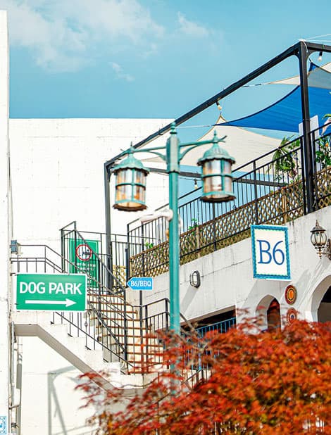 라스블랑카스 애견 공원 B6동 — 대형견도 즐길 수 있는 넓은 야외 공간