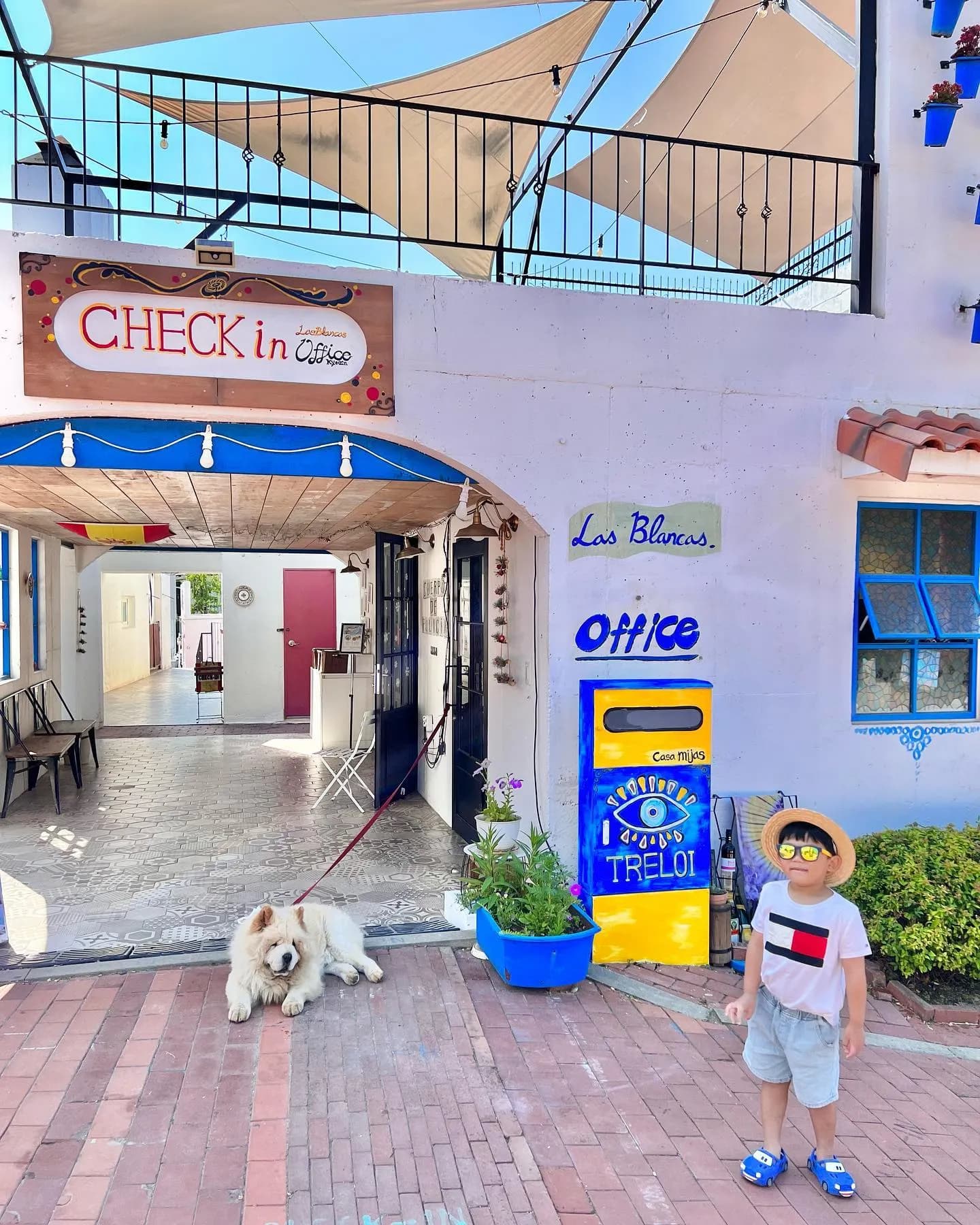 테라스에서 반려견과 함께하는 오후