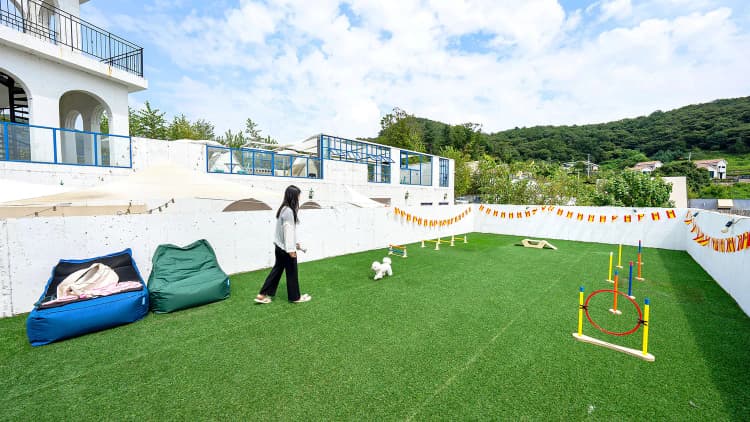 애견 동반 카페 · 전용 운동장
